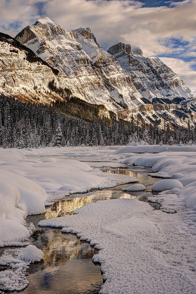 Winter in Jasper National Park-Alberta-Canada art print by Steve Mohlenkamp for $57.95 CAD